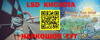 прущие грибы Донецк