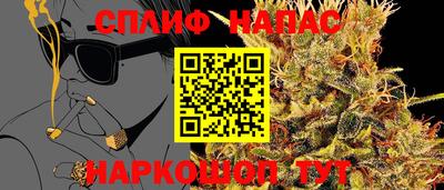 прущие грибы Донецк