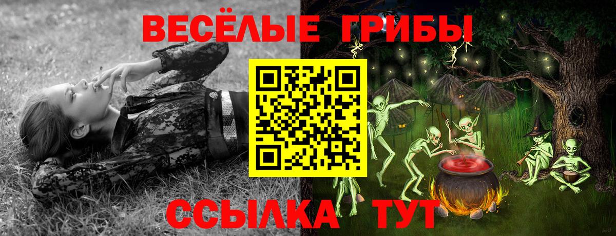 Луга  Псилоцибиновые грибы мицелий  Вход с VPN  Псилоцибиновые грибы Magic Shrooms 