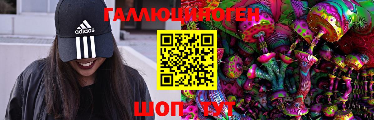 Галлюциногенные грибы мицелий Луга